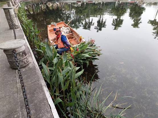 203038419fae40e883db82785aaae53