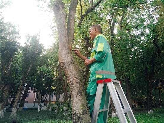 7ce31d594bfd485c2be3b2b509a4a34