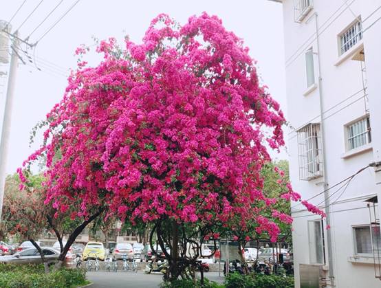 991adbdbda2d99e424b126c15012216