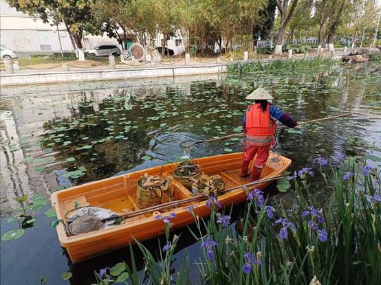 8aaab95061faff78f530e407f8cde5e