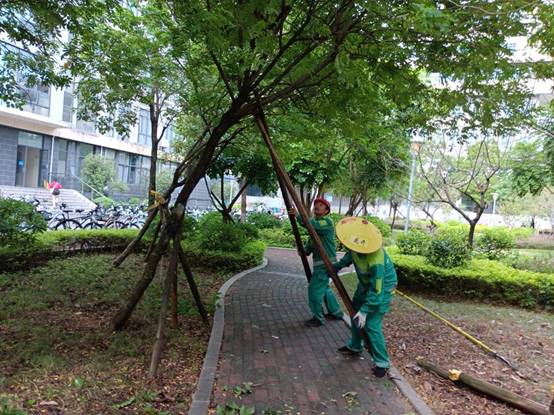 82905c9718fb9d642bdc3568767bc73