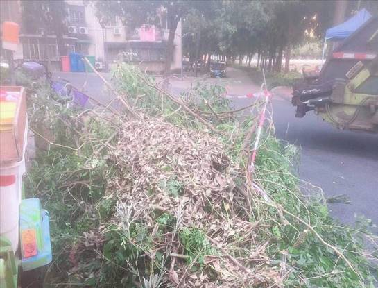 6e272176321e36f0723249f3ead67e4