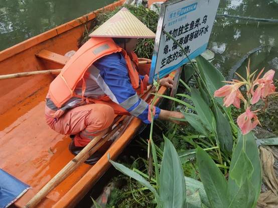 46915050eeb1d06c01f514a28bca46e