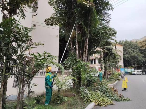 9831d713a57fdc861db8c416430e77e