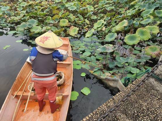 6d004b82ac3562d19756dfe7f015603