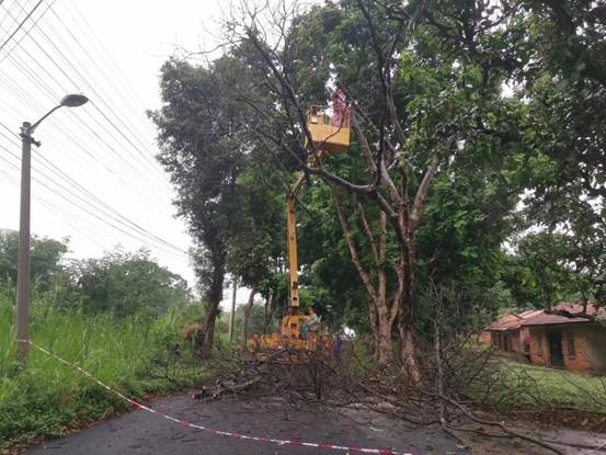 f41a4099bd0d303ffcb93717a1f4969