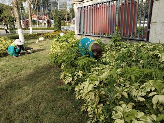 808281f10d4323105105b62c8ea730c