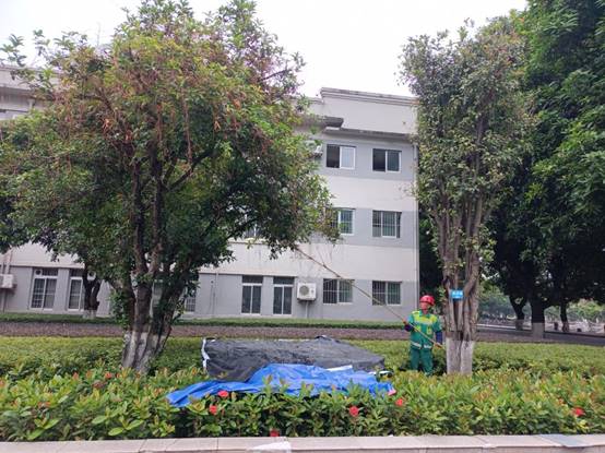 0409795c8a0f1a79bc18c887efa6cd8