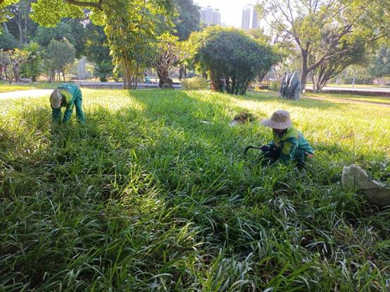 25d318015b552ff23931204190e27ca