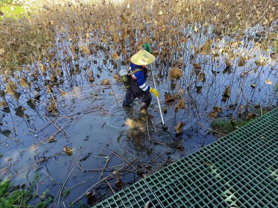 4336122538f8dfe2d71e740f23f598d