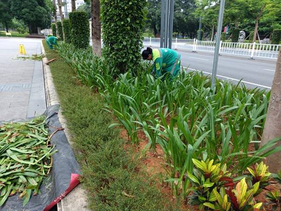 71e8e4195d1bff203b4ec0922383eba