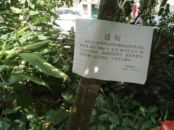 8665d008d6fb703fc12c6fbba47497c