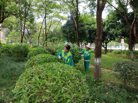 31378796c69019a3e6dff0260b8e7c8