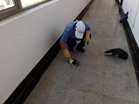 0c5aac3cdc20b3f81e789e04dabf1f3