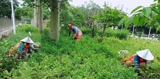 c8f595923063c3c7d7d73f42dca07c8c_