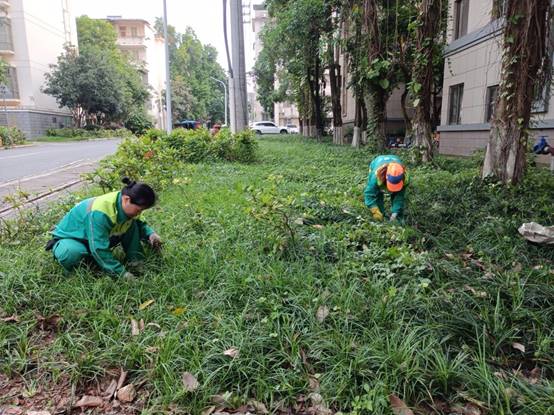 423ae19171df07b41479d9002574f69