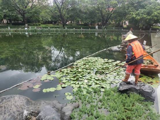 7058bffb033804a28642893d7032534