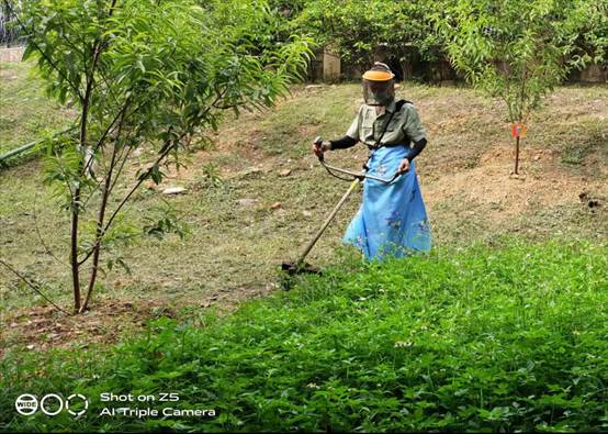 说明: f72b5872c4f2c6fd3fe3de671177ee1