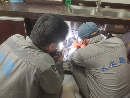 b00feee99558e2c17ca24adb4d769e6