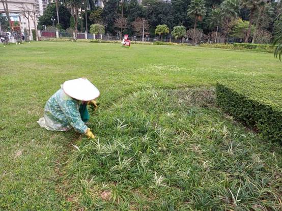 048908b859def965c36956c83031862