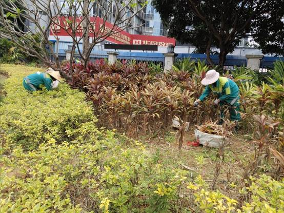 daeea5bca8d58118df62013bef189ba