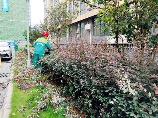 8b13c7a925ccc71ee5a86a32d476c87