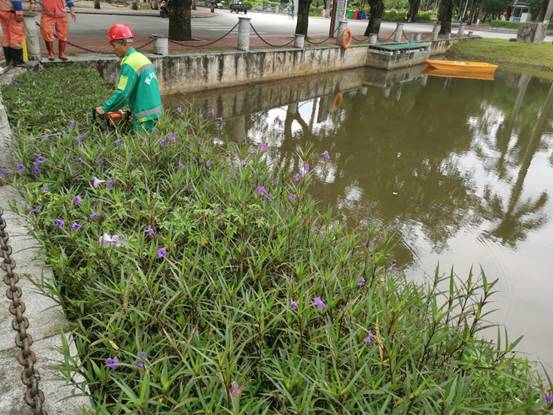 e38e7937e26e451e3658a6421a906a6