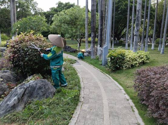 03c4861504e53ae4f2b52958b343354