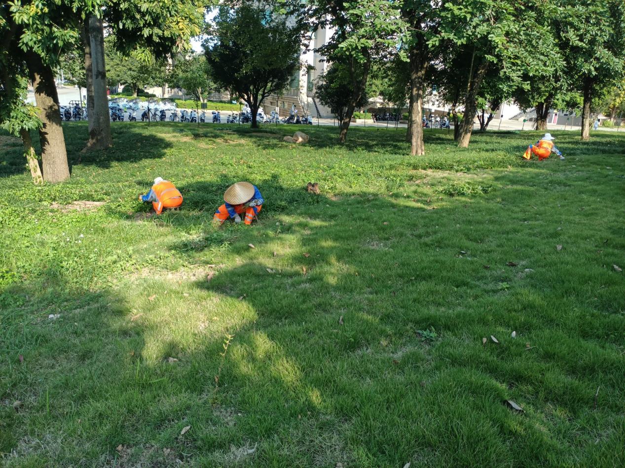 60daa24fafc472c081ac4e8280015ab