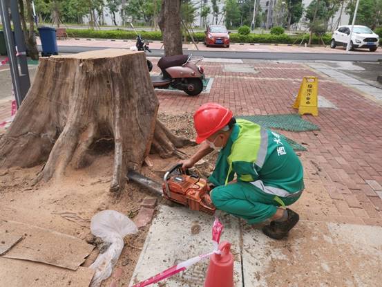 834297550f242ab603790146ce464ee