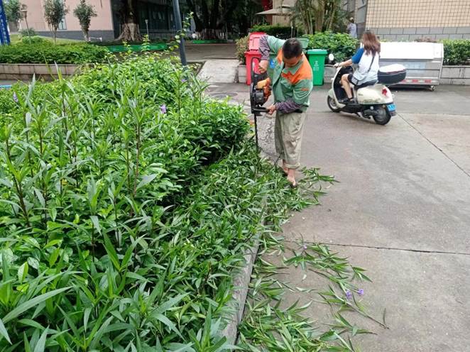 c1aa6b0aa5b59c0a04e4ce9547a6e4f