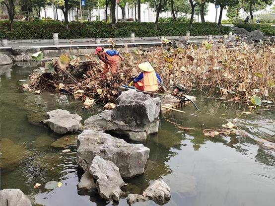 df68f955cc8b9cfd5d21a18b498aab8