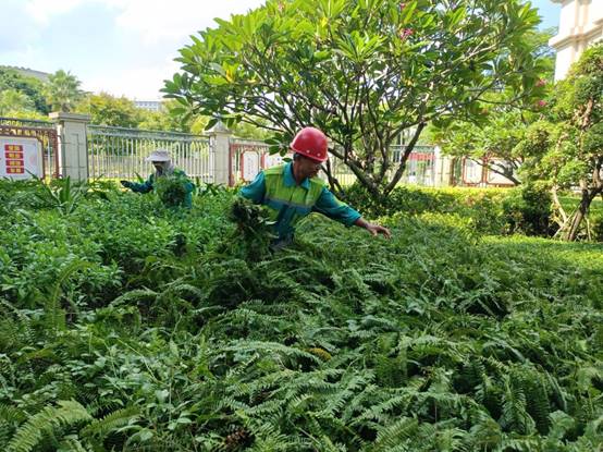 e004ff6814a94a23d061eba2daee5ae