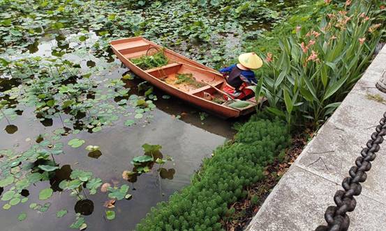 e93c906ea1fe9805887f21d98fa6c39c_