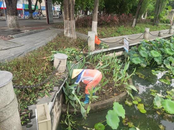 60748cdc00338fca58bcfc880331bd8