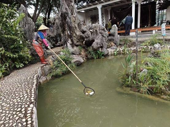 f6fae50fc4dc67168771963d5f5016e