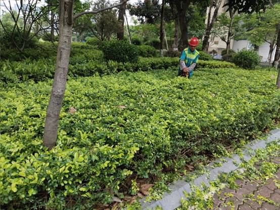 0257772a350813b97fab27f11261fdb