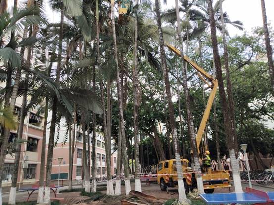 250af21961af17922d45833ee1744b7