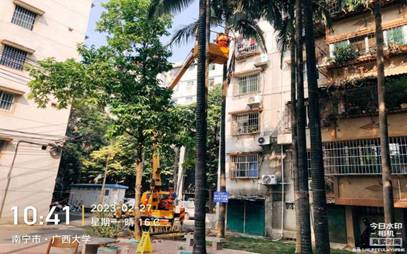 93290202b2078980fb9572f4fd993d9