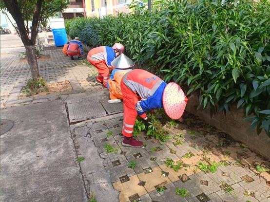 7ed8dc846e54f4928c65f854d0ddc67