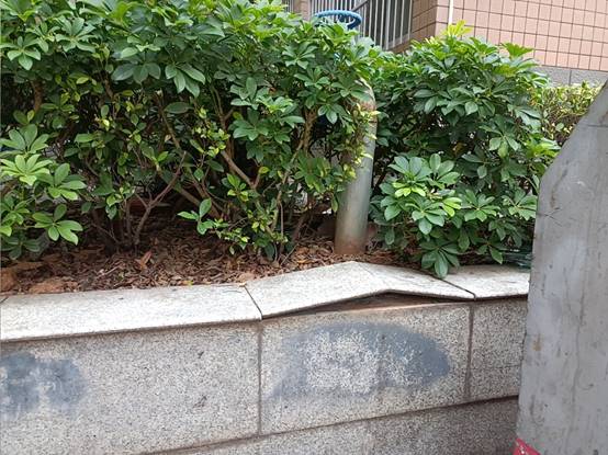 d15c88325a282b70cbe51be2331d851