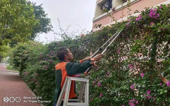 说明: cdf06db80fbf07b2a02214ceb113141