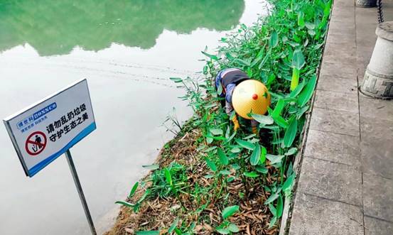 d186c77f711e270d75d4f6f48a61ad79_