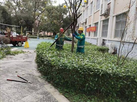 139ddc1ea6bb96fcb0fcbd64a6f56d3