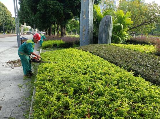 c4c256b797115c8af962e3f29ce72b3