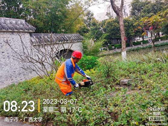 骑自行车的人描述已自动生成