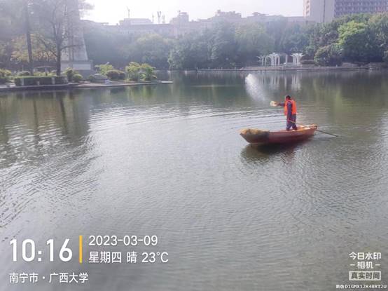 湖边的小船描述已自动生成