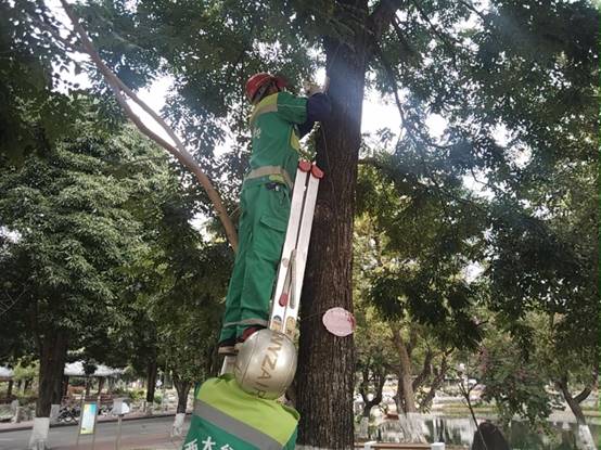 cb46007f0639f4c975edd26d279d269