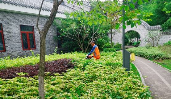 树林前的花园里站着人中度可信度描述已自动生成