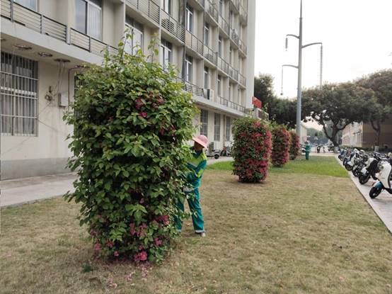 c8f7051c4f4290e590af8849776c97f